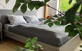 Ferienwohnung in Freudenstadt-Kniebis II